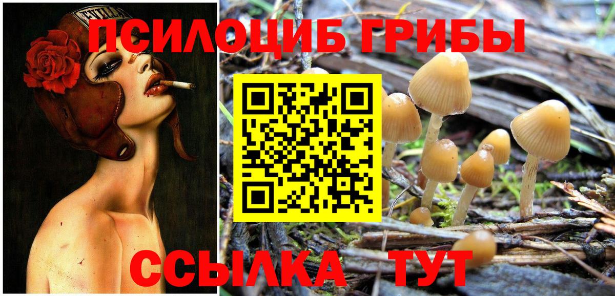 Псилоцибиновые грибы MAGIC MUSHROOMS  продажа наркотиков  Нижнеудинск  Вход с VPN 