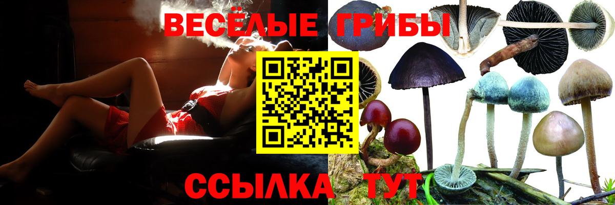 Галлюциногенные грибы GOLDEN TEACHER Нижнеудинск